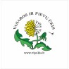 ARBATA "Nuo peršalimo (1)" - 25 gr.